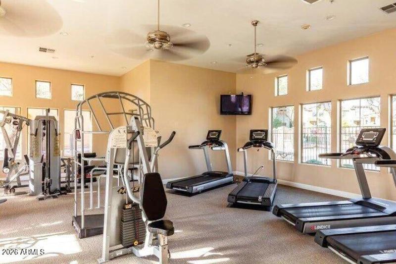 20251003212759355766000000-o_genErase