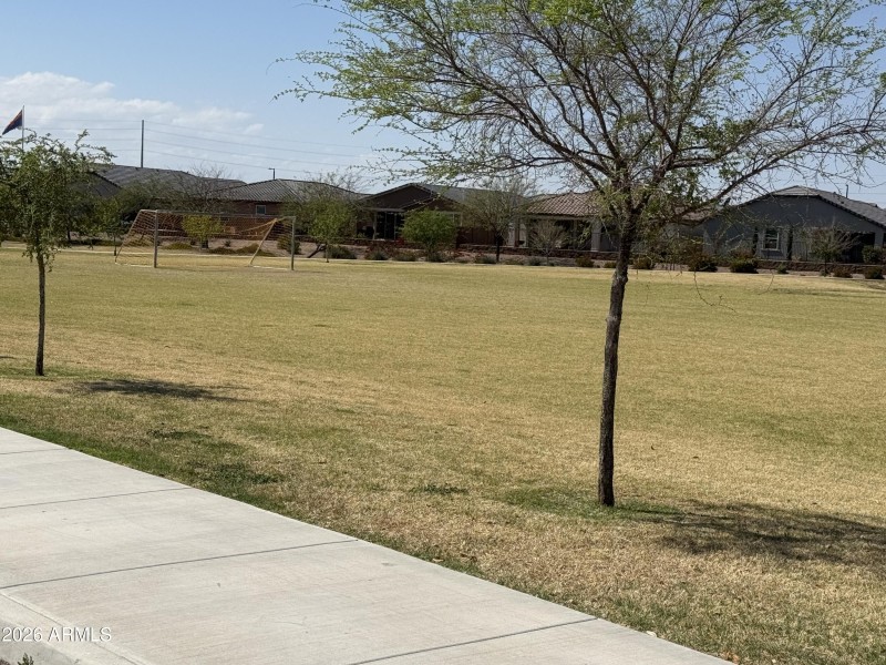 Photo Mar 09 2026, 12 08 32 PM