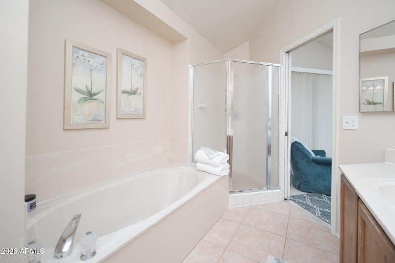 Primary Bath and shower