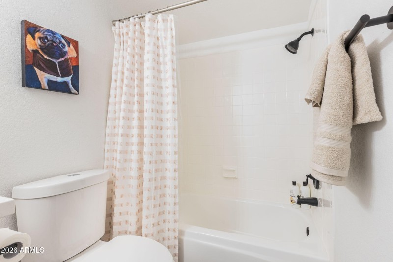 20-web-or-mls-2O8A7280