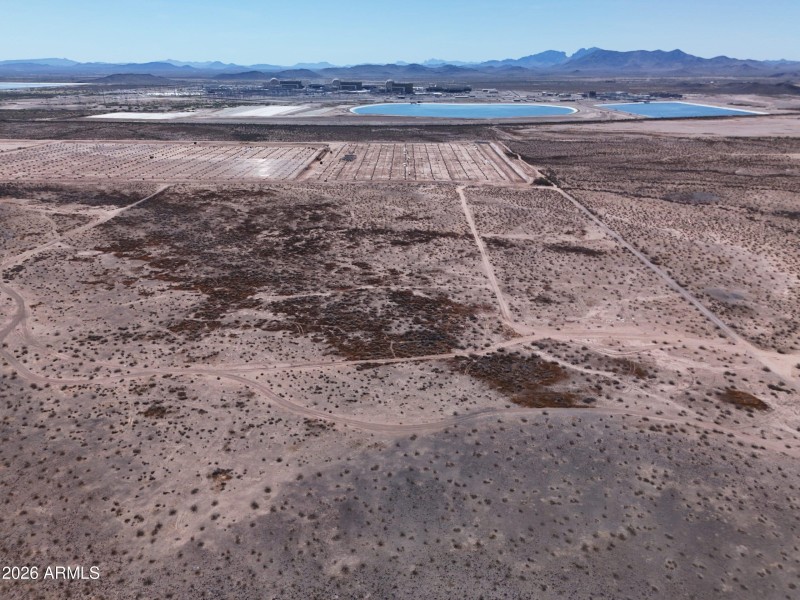 17) 67016-69c1bea97921e