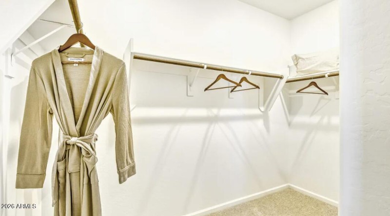 Owners Walk in Closet