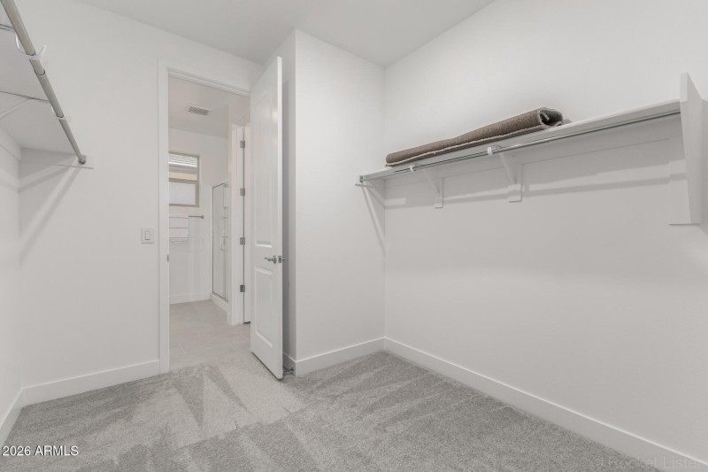 16 - Mecklenburg 2913