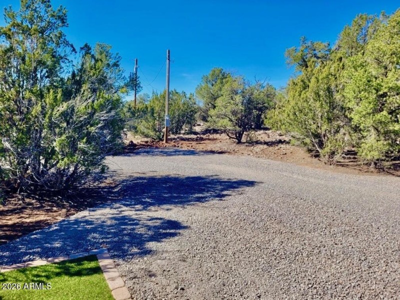 Resized_20260324_151354