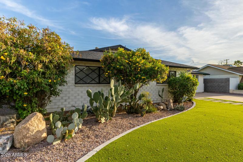 Designer landscaping