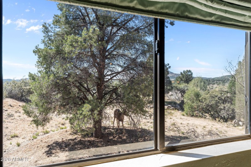 26-web-or-mls-DSC01569