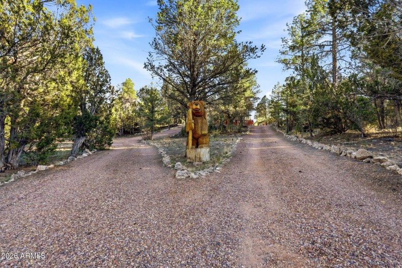 3161TrailsEnd-Heber-AZ-3