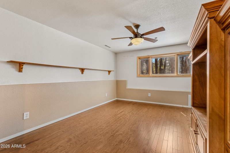 Basement Living Room