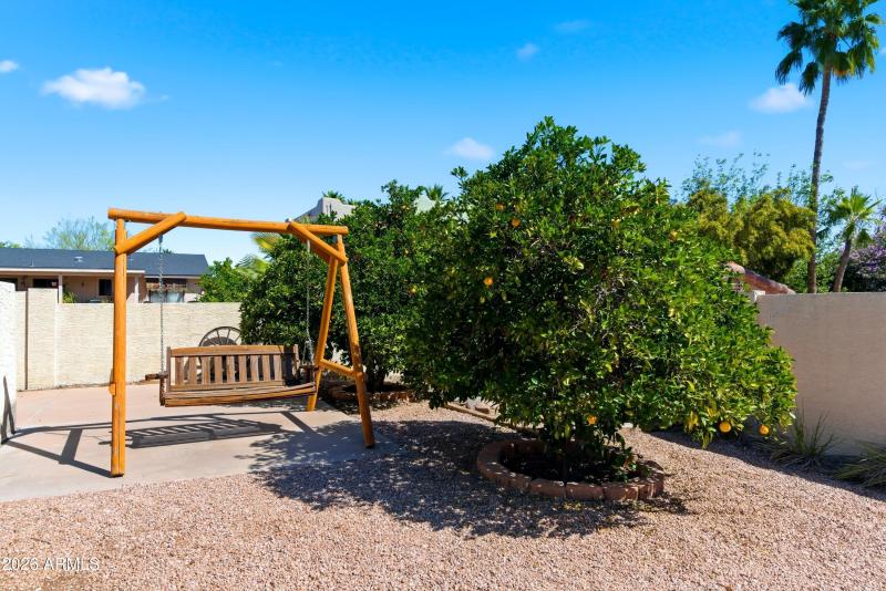 Citrus trees and RV parking