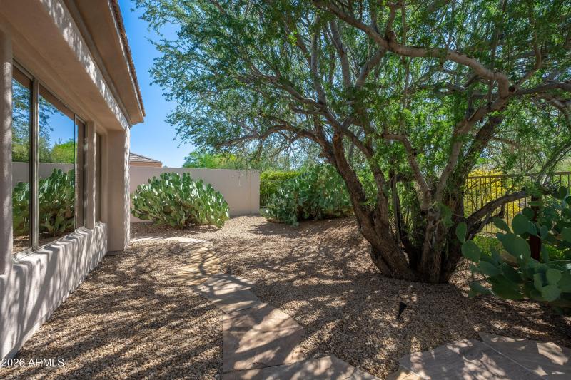 6659 E Whispering Mesquite Trail - 46