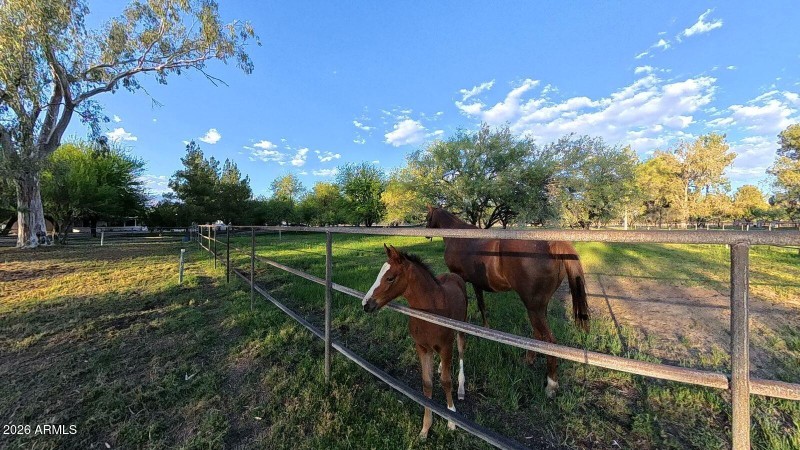 Woodland 8741 E img 00_041