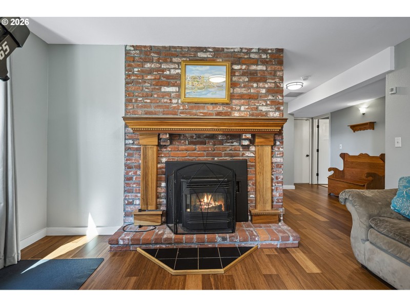 Fireplace Pellet Stove