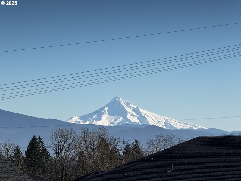 Bedroom, Owner's Suite