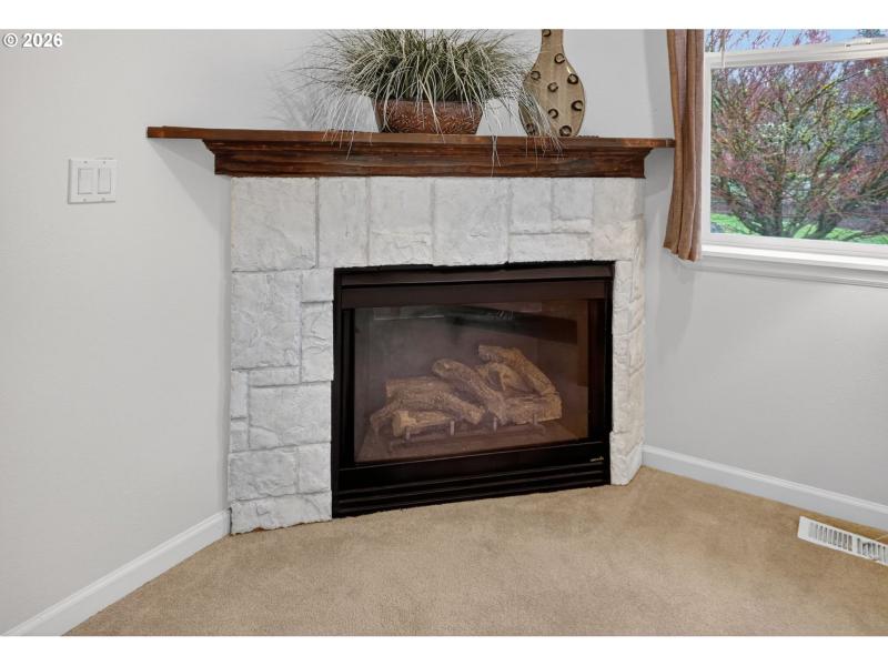Fireplace Gas