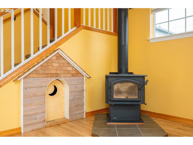 Fireplace Wood Burning Stove/Insert