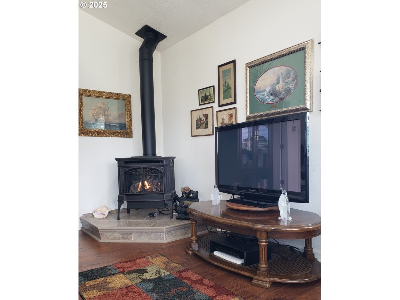 Fireplace Gas Burning Stove/Insert