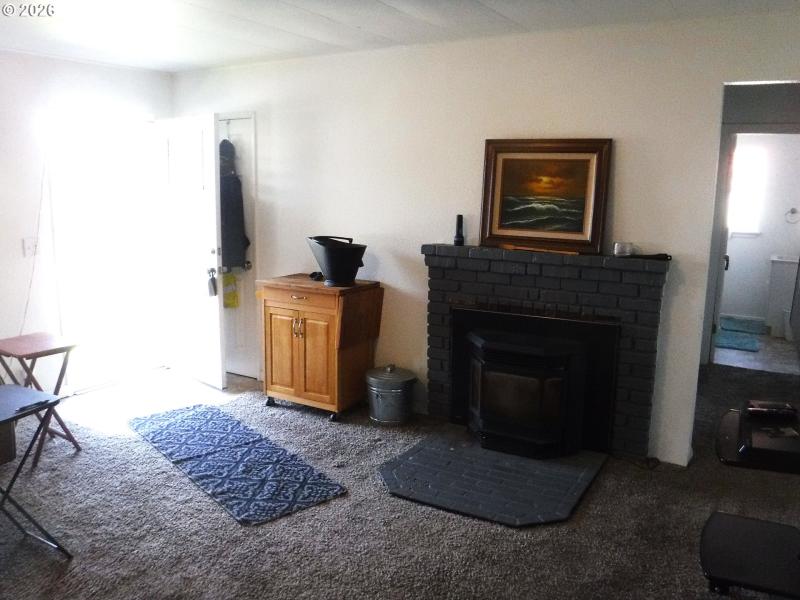 Fireplace Pellet Stove