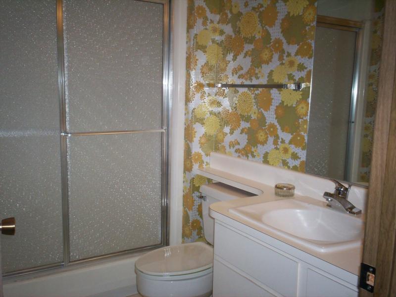 master bath w/ shower