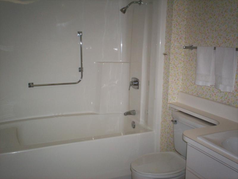 public bath w/ tub