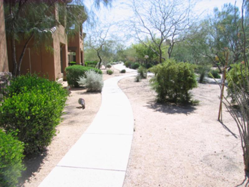 walking paths