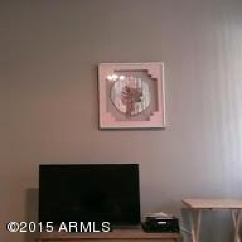 IMAG5317