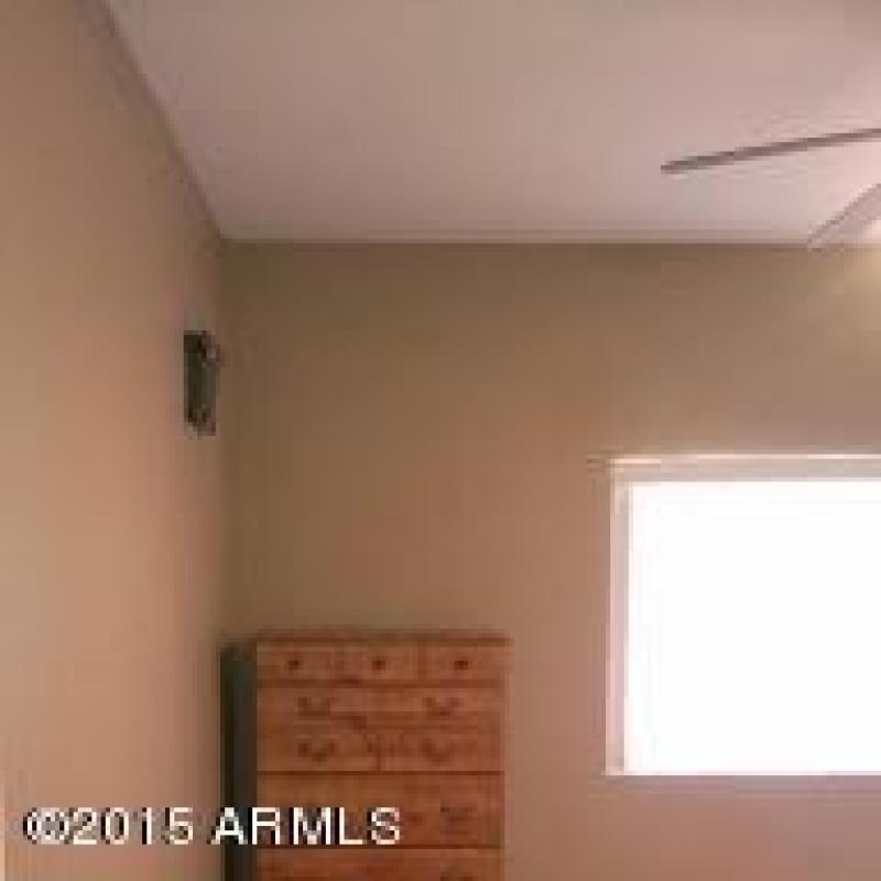 IMAG5299