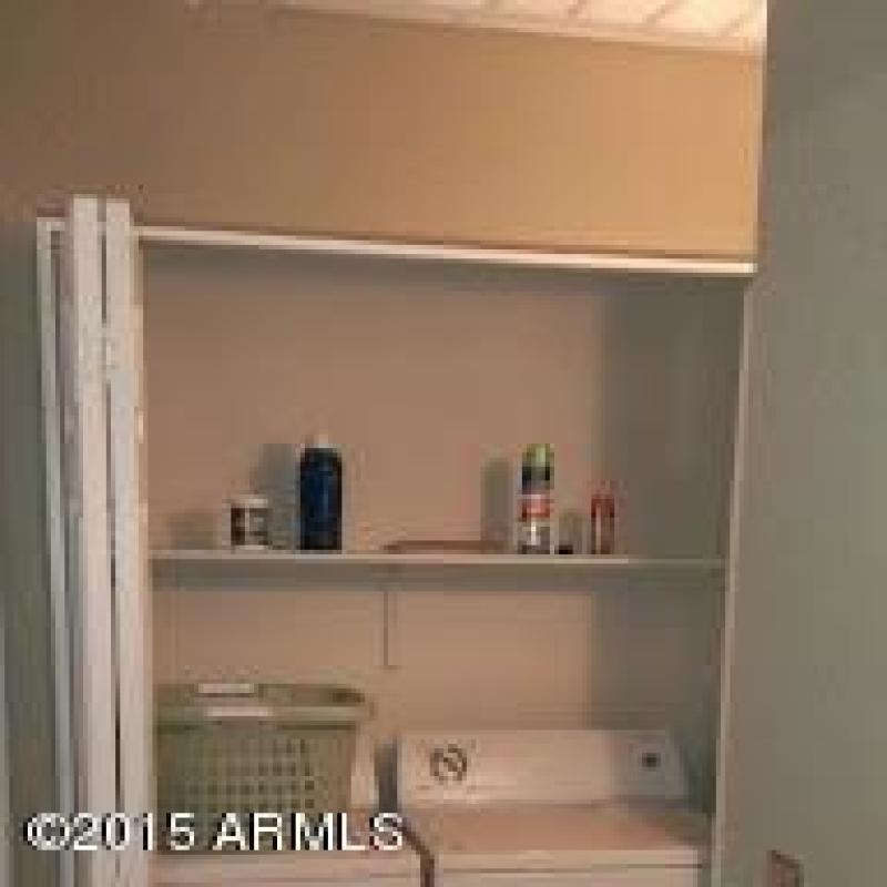 IMAG5303