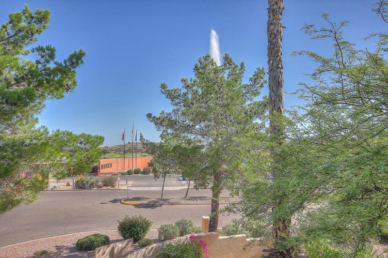 Fountain Views