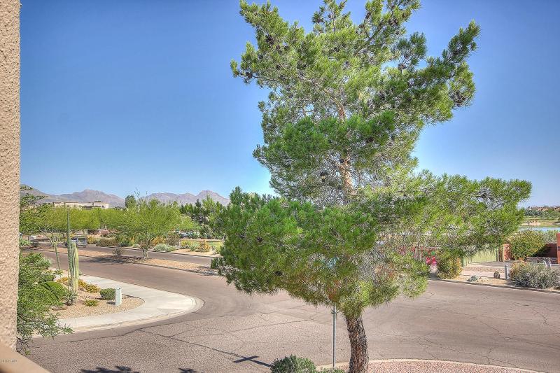 McDowell Mountains