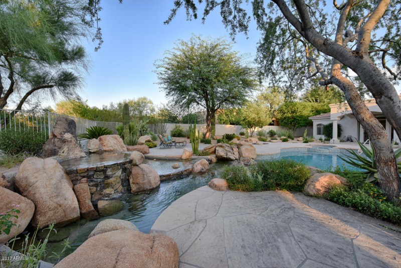 Backyard 13