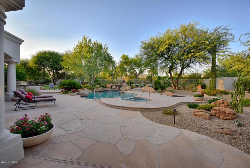 Backyard 14