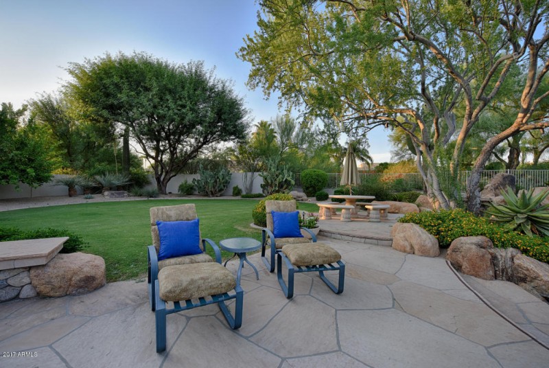 Backyard 15