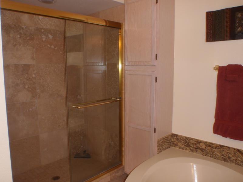Master Shower
