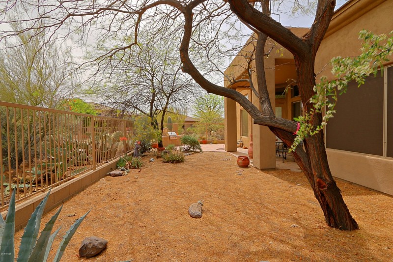 Backyard 1