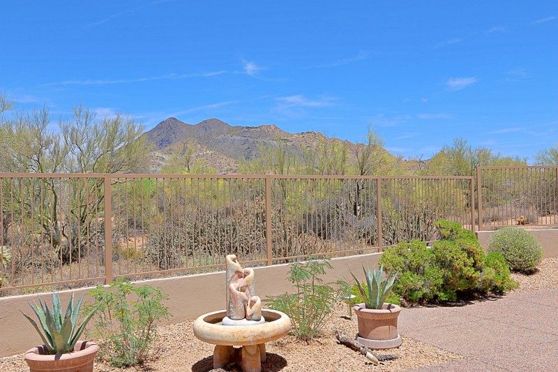 Backyard 4
