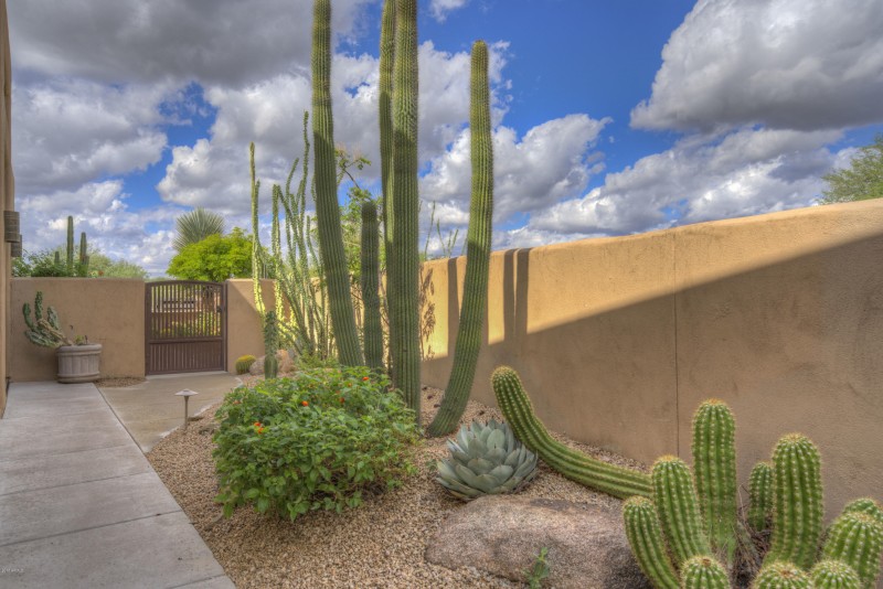 walkway to backyard