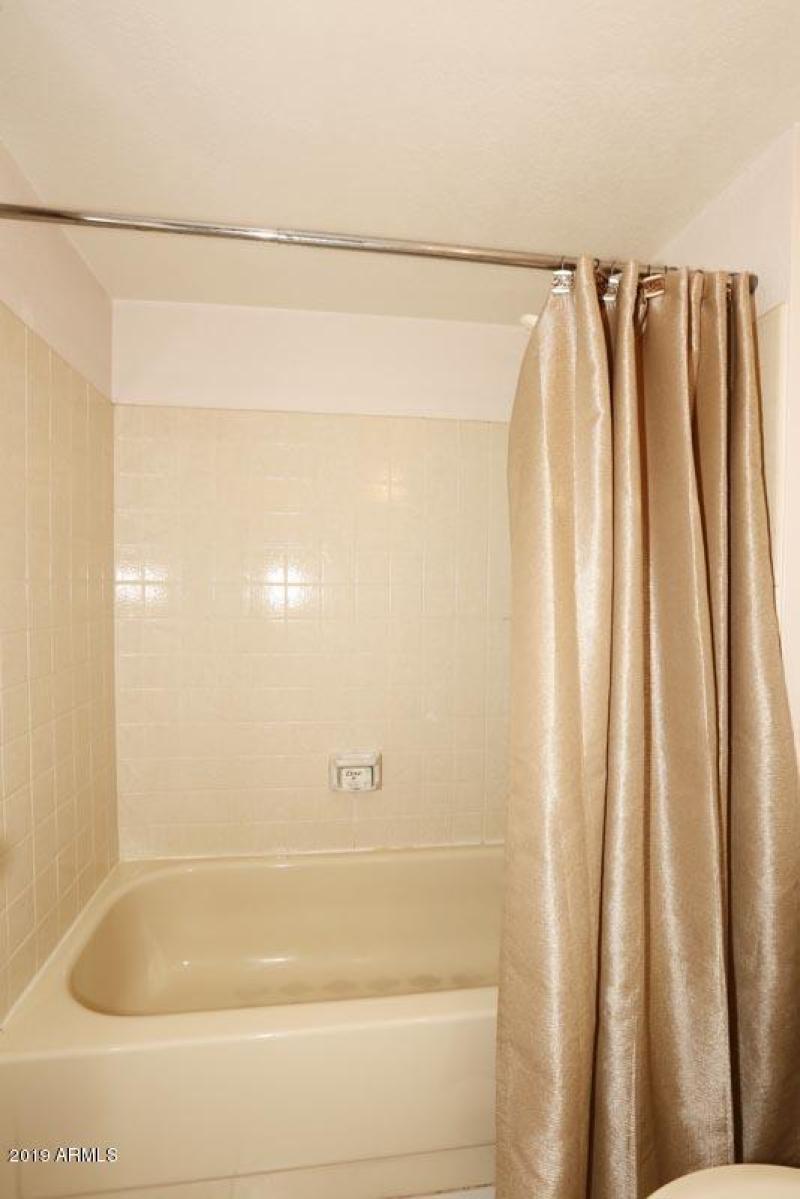 Master Bath-Tub