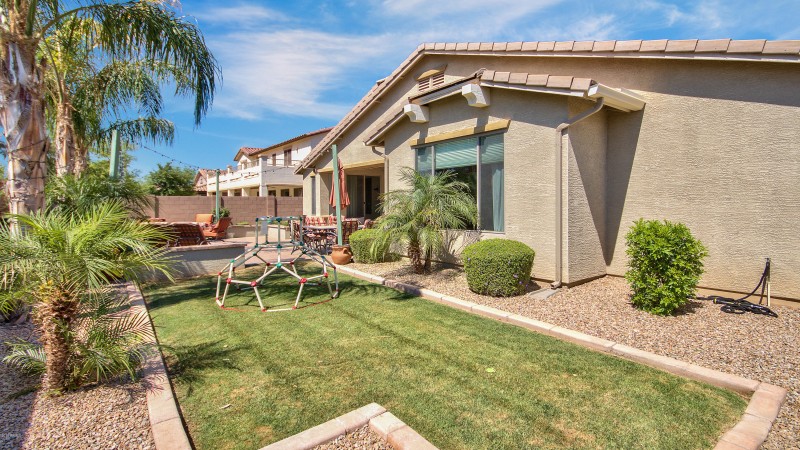 Lovely backyard