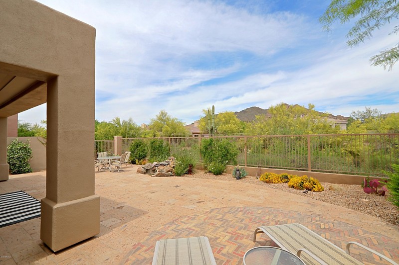 Backyard 3