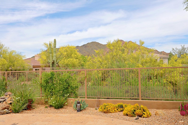 Backyard 4