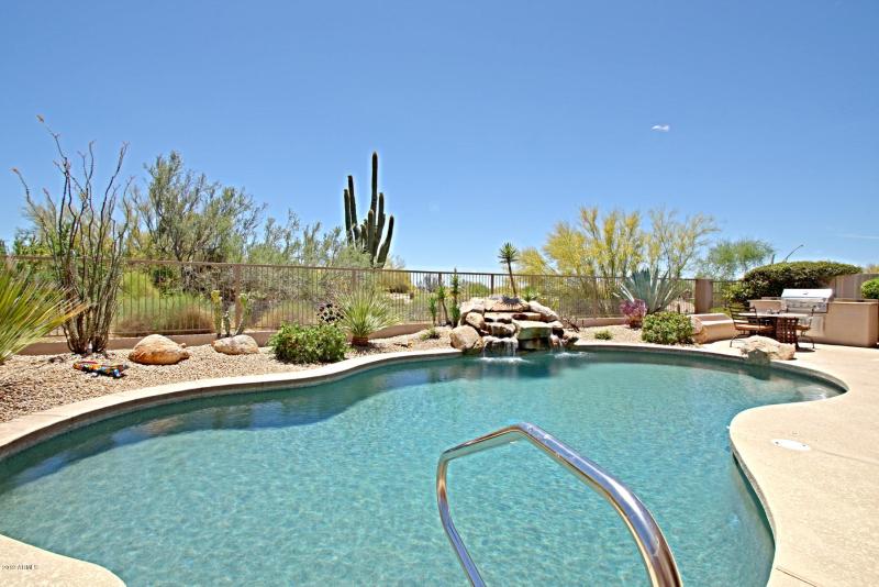 Backyard 4
