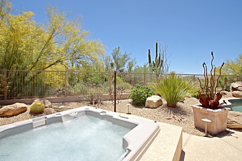 Backyard 7