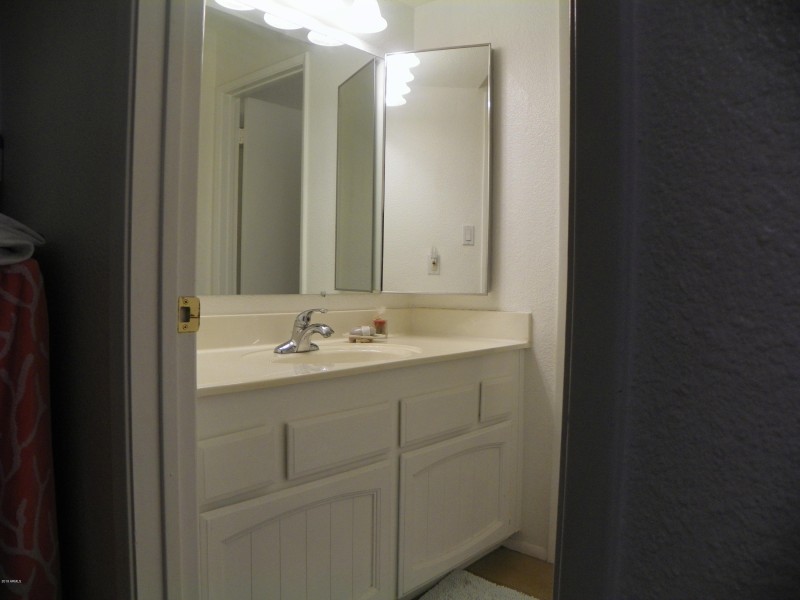 guest bath 2