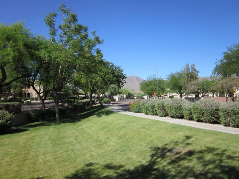 Greenbelt Area next to #1062