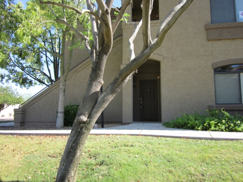 Exterior Entry Area to #1062