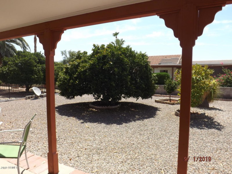 Pueblo fruit tree