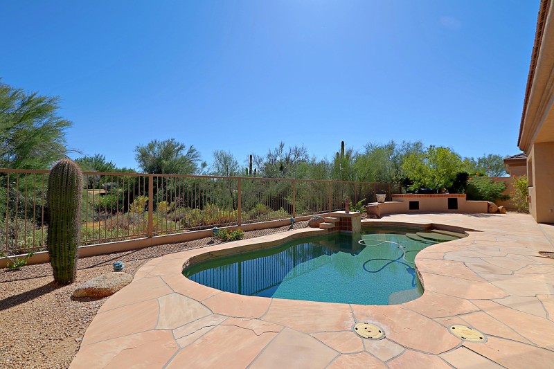 Backyard 1