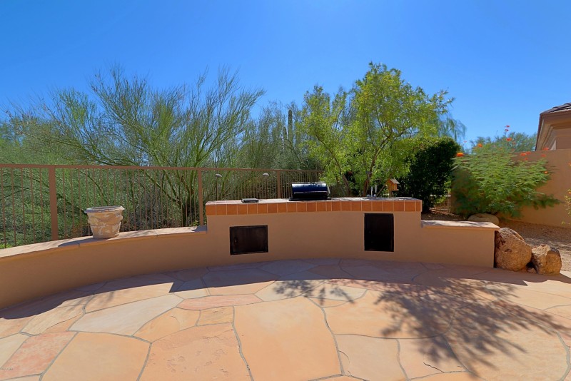 Backyard 4