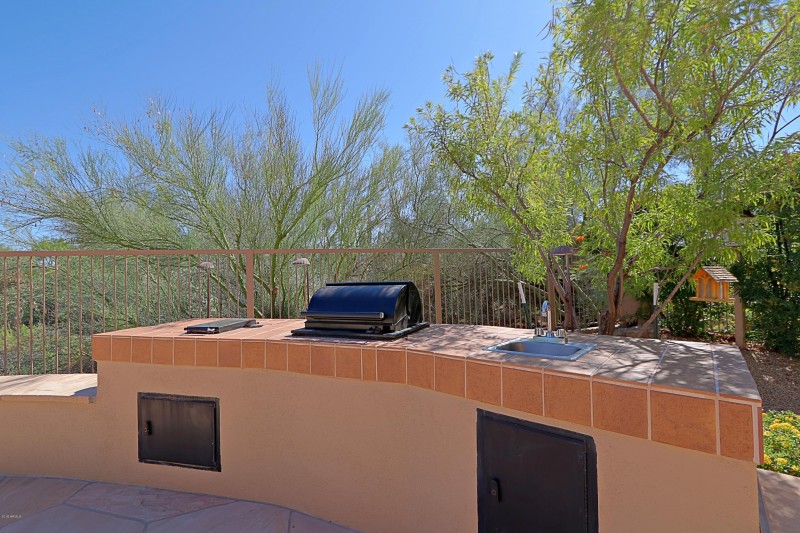 Backyard 5