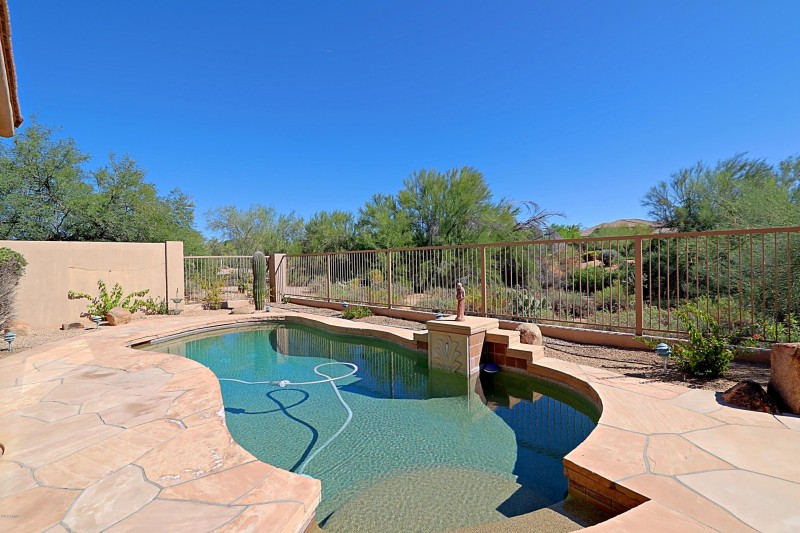 Backyard 7